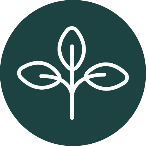 Areas verdes