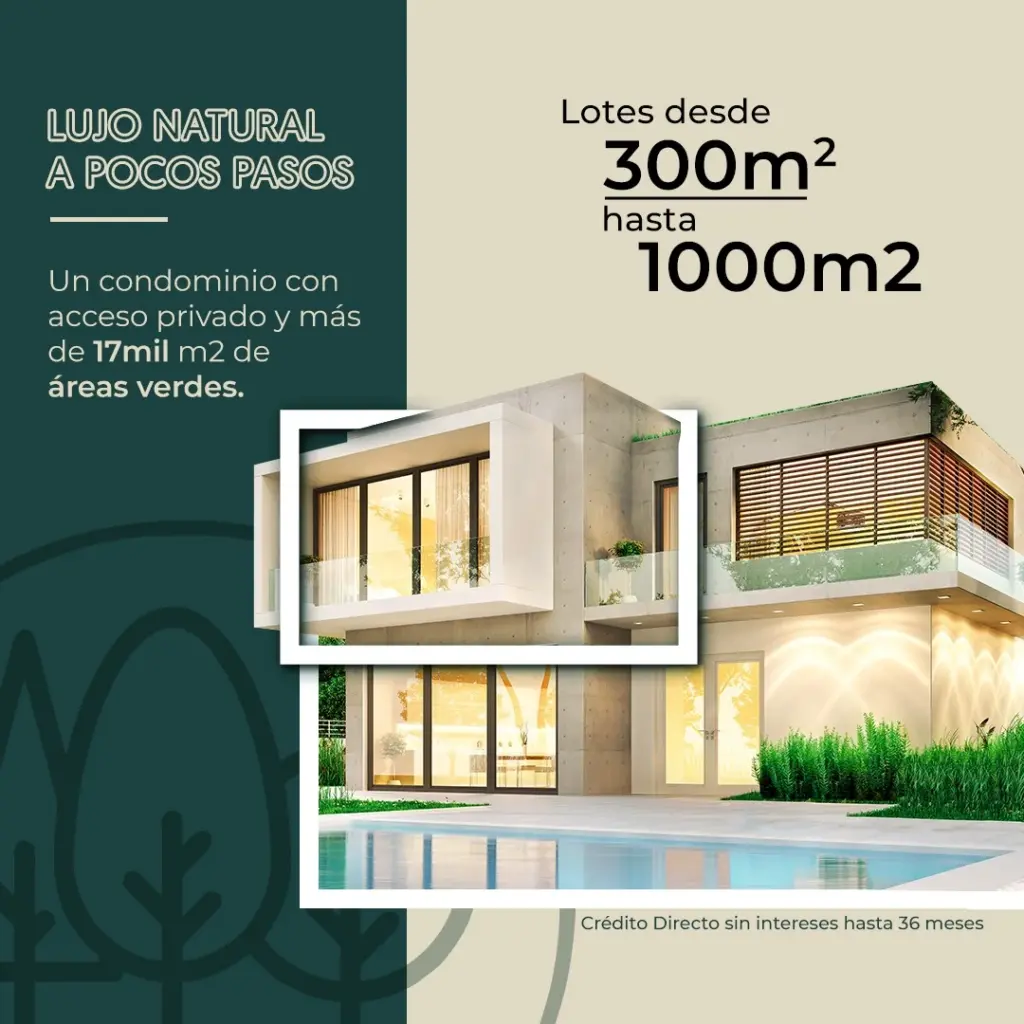 Tamaños de lotes